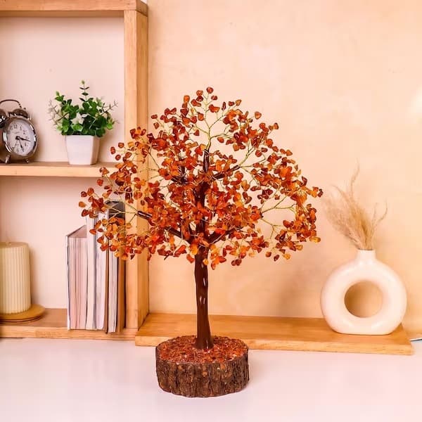 The Complete Guide to Red Carnelian Tree 1000B MSeal: Properties, Origin & Care